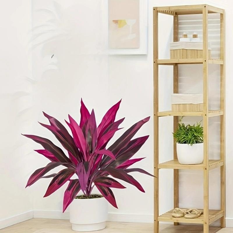 60cm Tall Artificial Dracaena  – Dracaena Marginata recenzja i cena