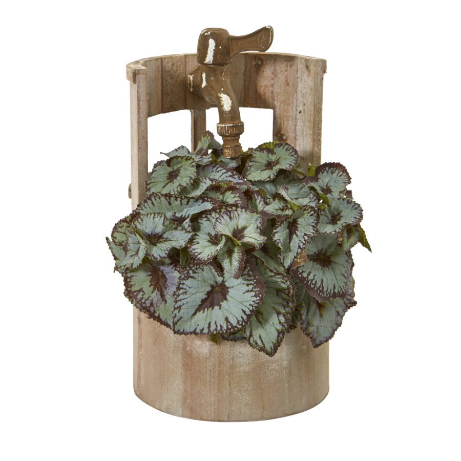 12in. Rex Begonia Artificial P – Begonia Rex recenzja i cena