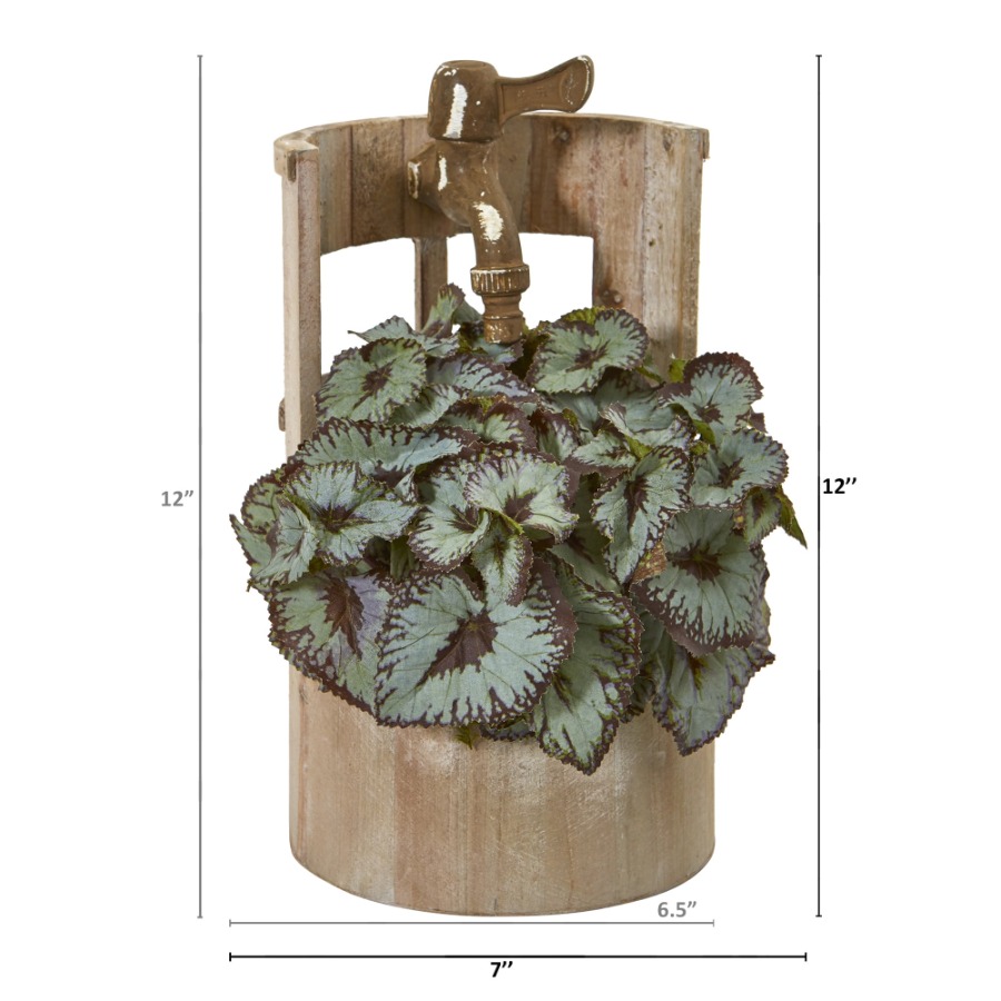 12in. Rex Begonia Artificial P – Begonia Rex recenzja i cena