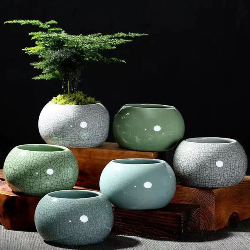 Creative Handmade Geyao Ice Cr – Pilea Peperomioides recenzja i cena
