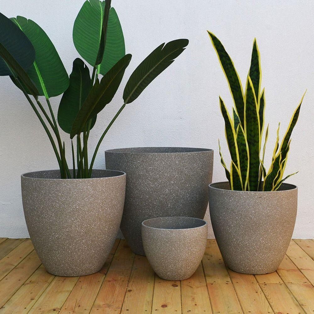 Frosted Imitation Stone Bonsai – Pilea Peperomioides recenzja i cena