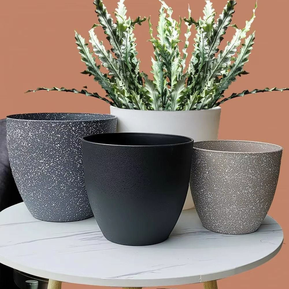 Frosted Imitation Stone Bonsai – Pilea Peperomioides recenzja i cena