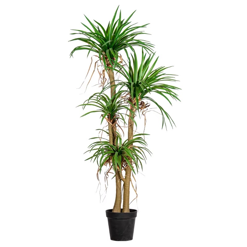 Indoor/Outdoor Home Tree Simul – Dracaena Marginata recenzja i cena