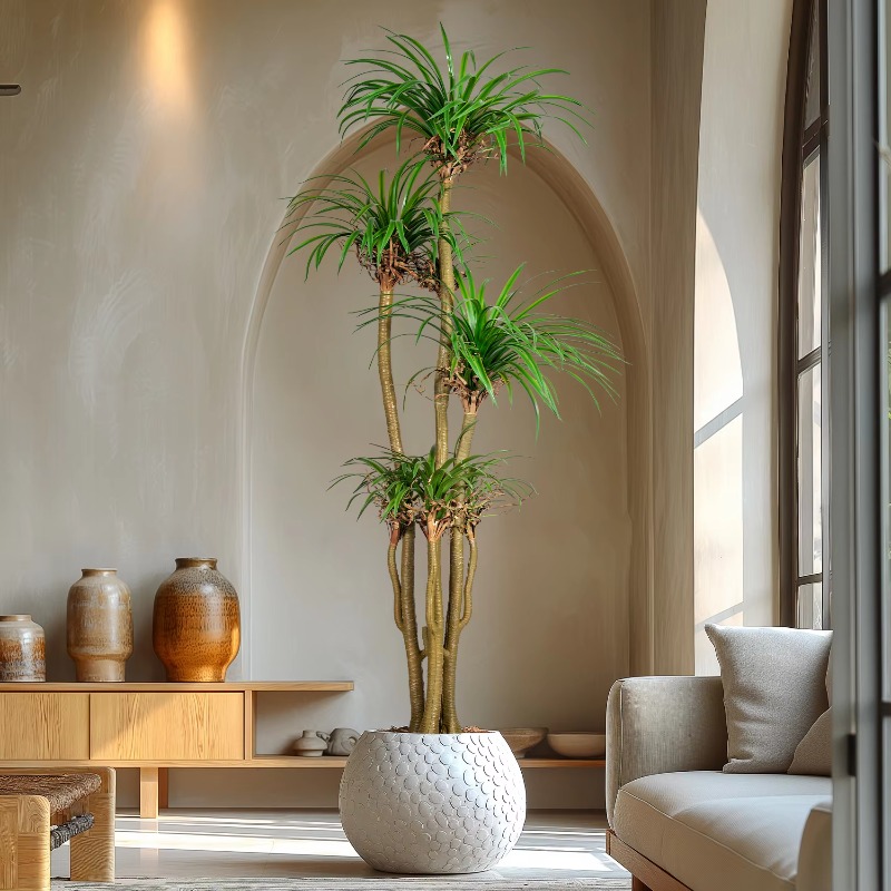 Indoor/Outdoor Home Tree Simul – Dracaena Marginata recenzja i cena