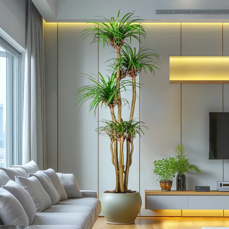 Indoor/Outdoor Home Tree Simul – Dracaena Marginata recenzja i cena