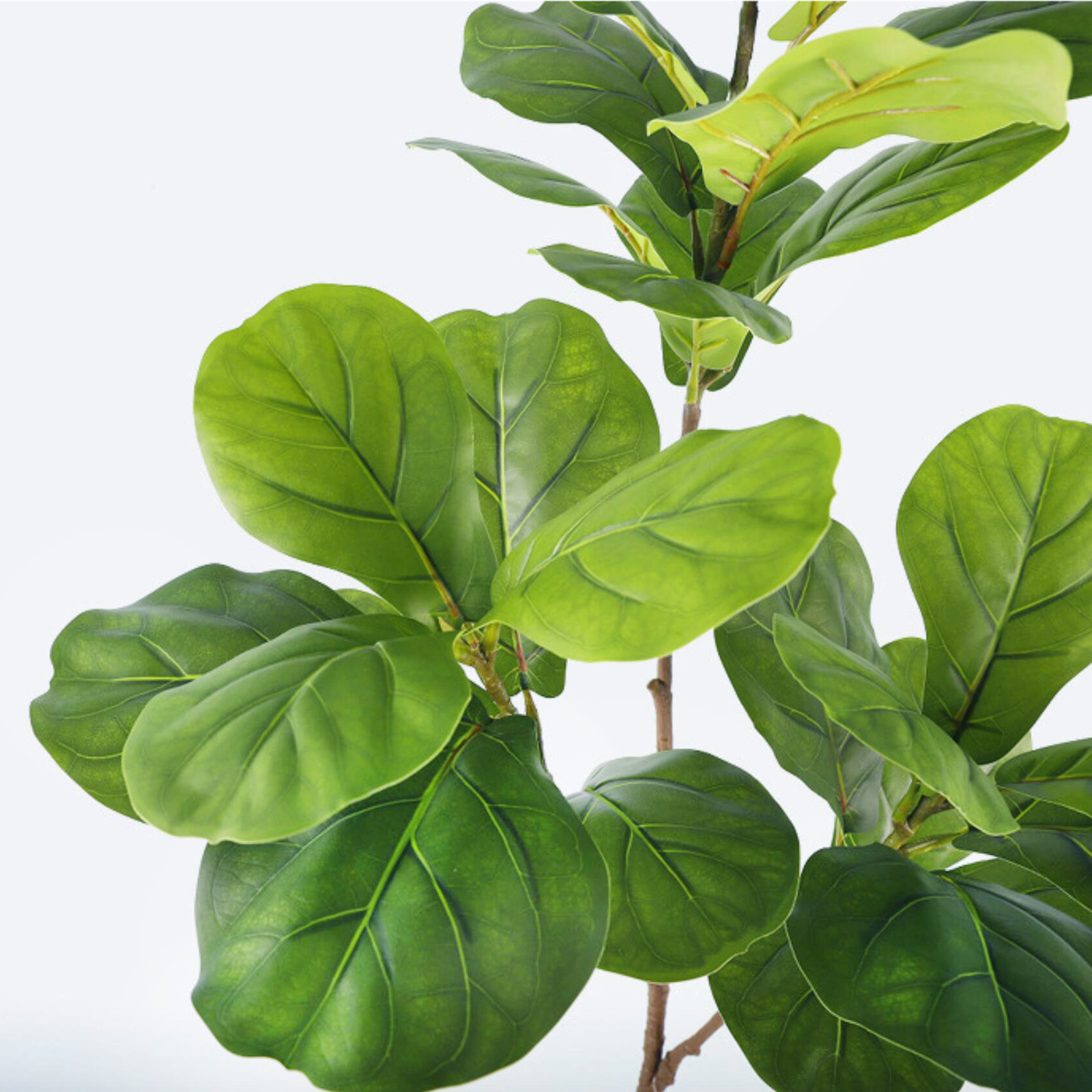45-135cm  Artificial Fiddle Le – Ficus Lyrata Tree recenzja i cena