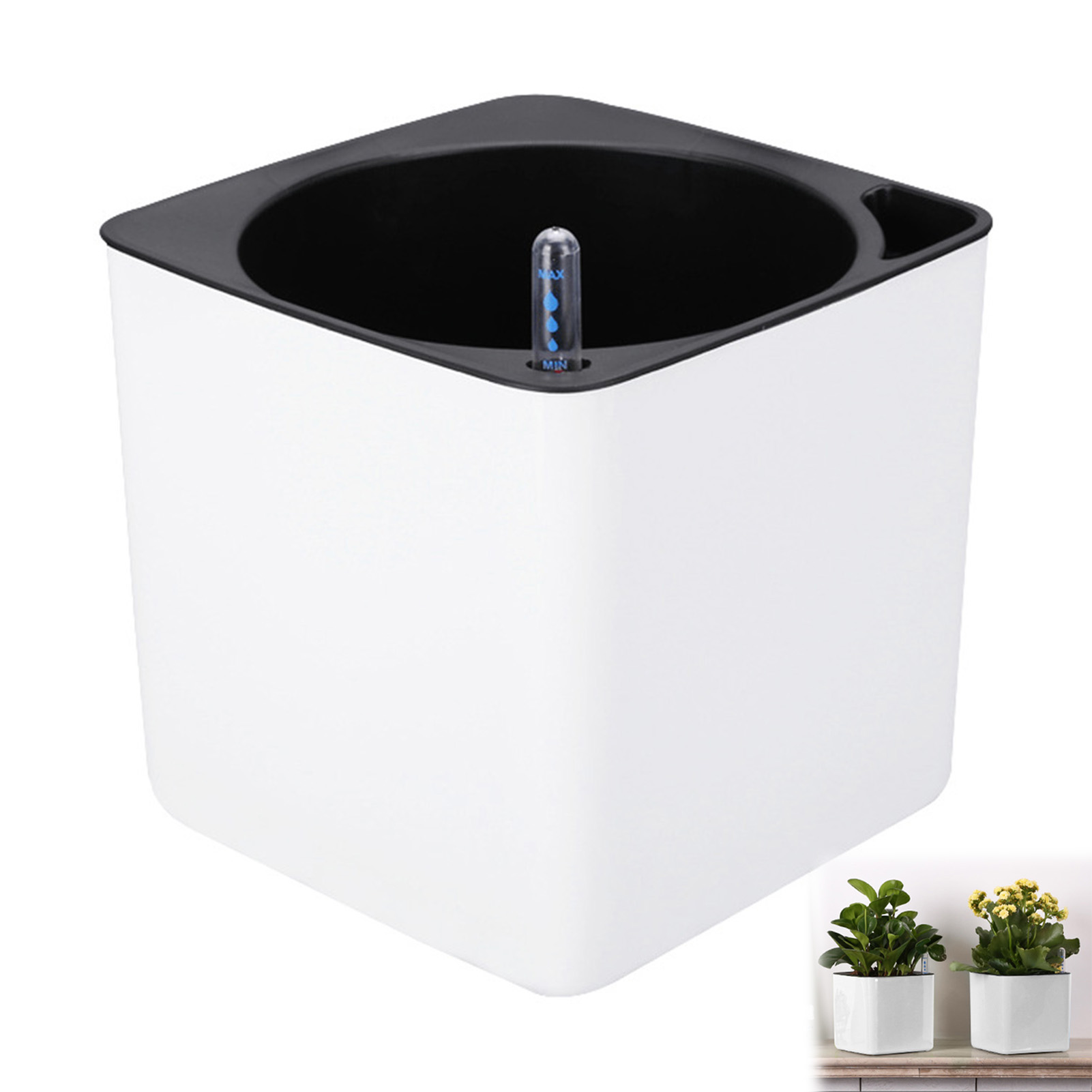 Automatic Self Watering Flower – Aloe Vera Pot recenzja i cena