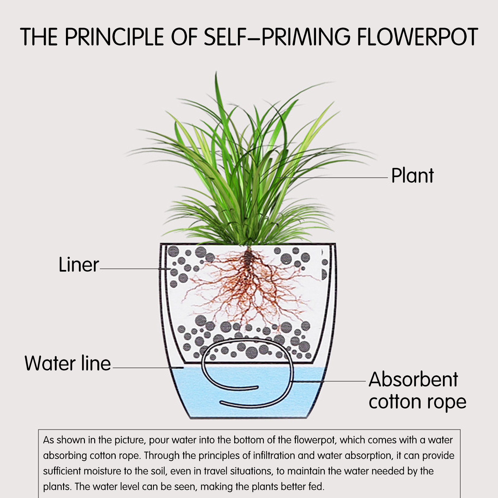 Automatic Self Watering Flower – Aloe Vera Pot recenzja i cena