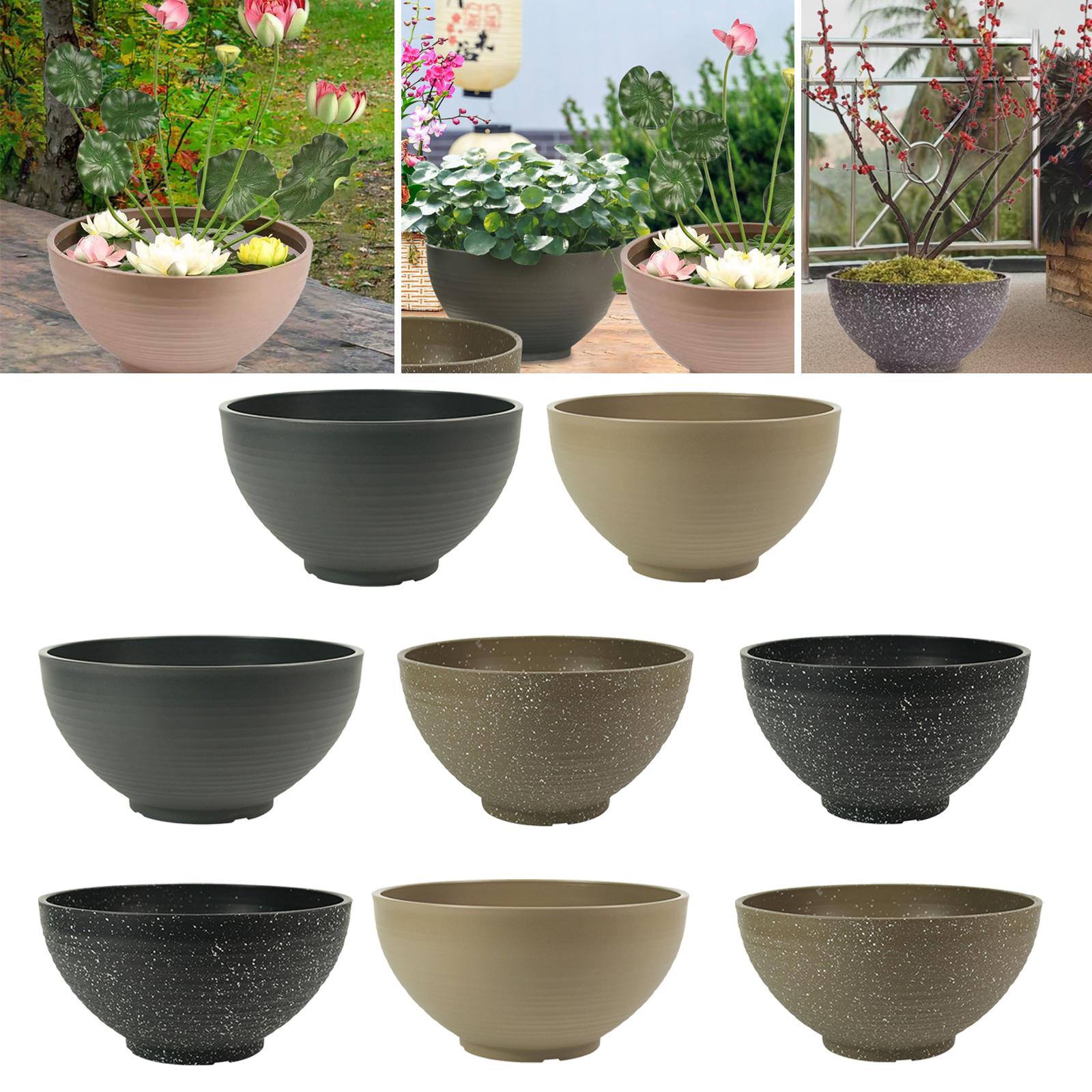 Garden Large-capacity Bowl Pla – Aloe Vera Pot recenzja i cena