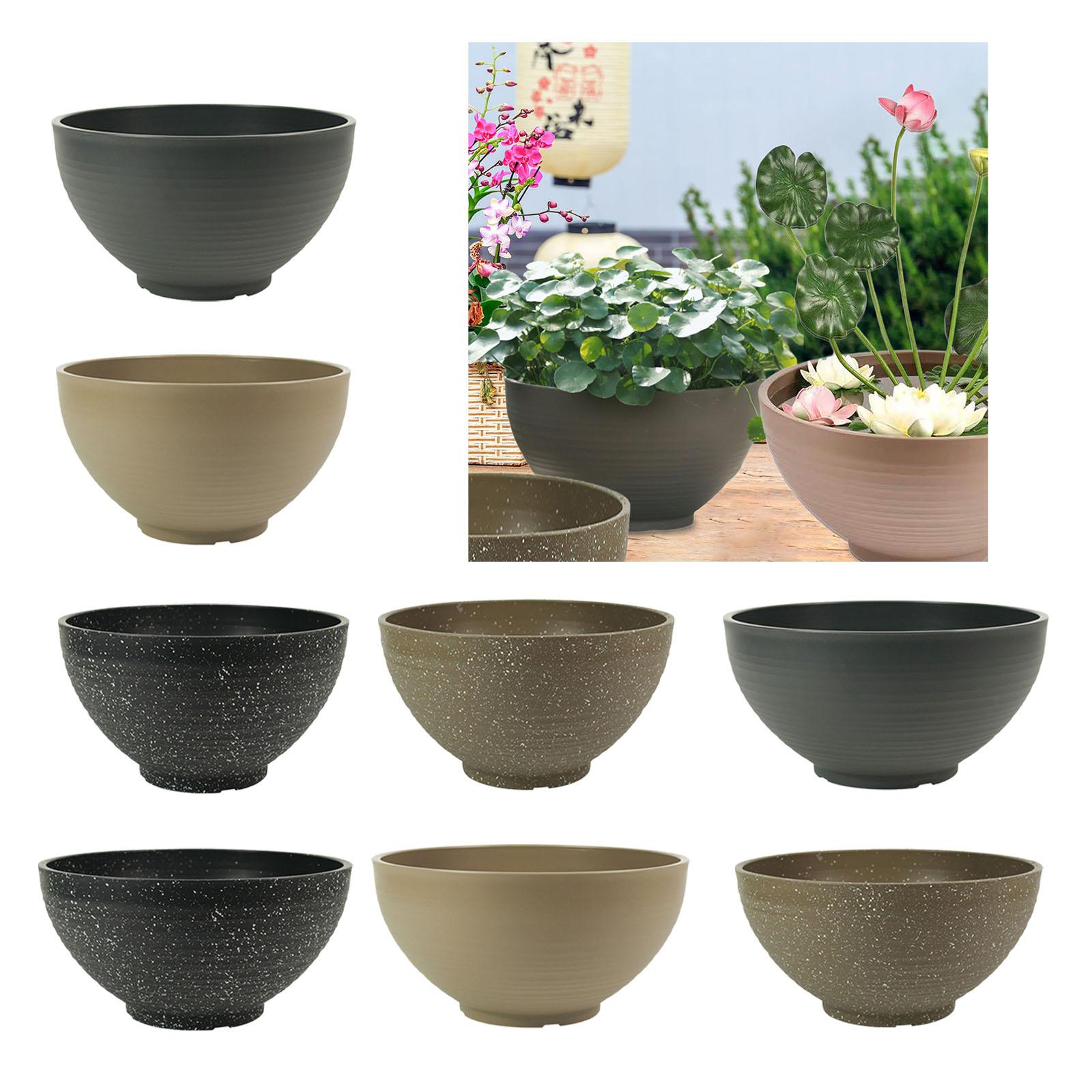 Garden Large-capacity Bowl Pla – Aloe Vera Pot recenzja i cena