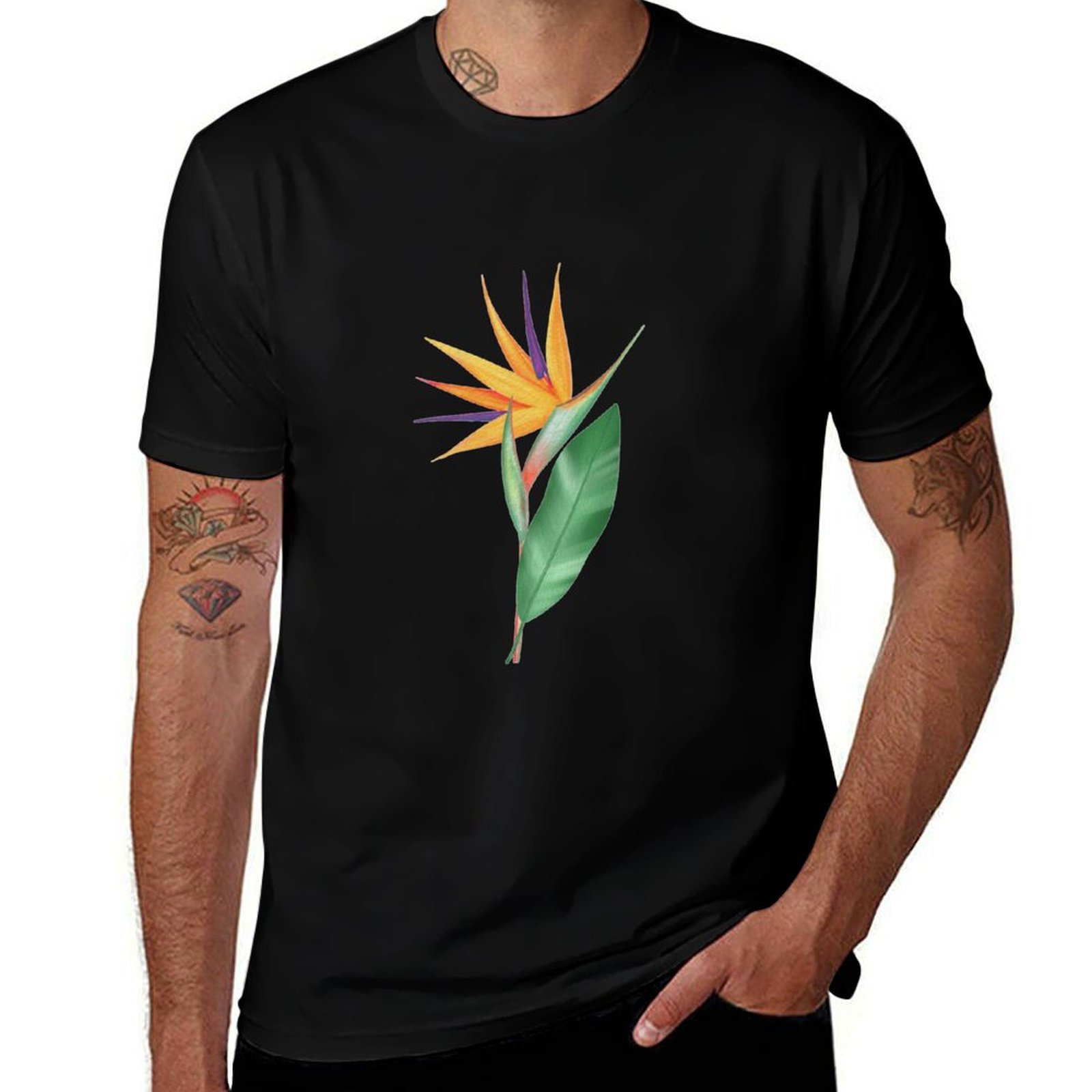 Watercolor bird of paradise fl – Bird Paradise Strelitzia recenzja i cena