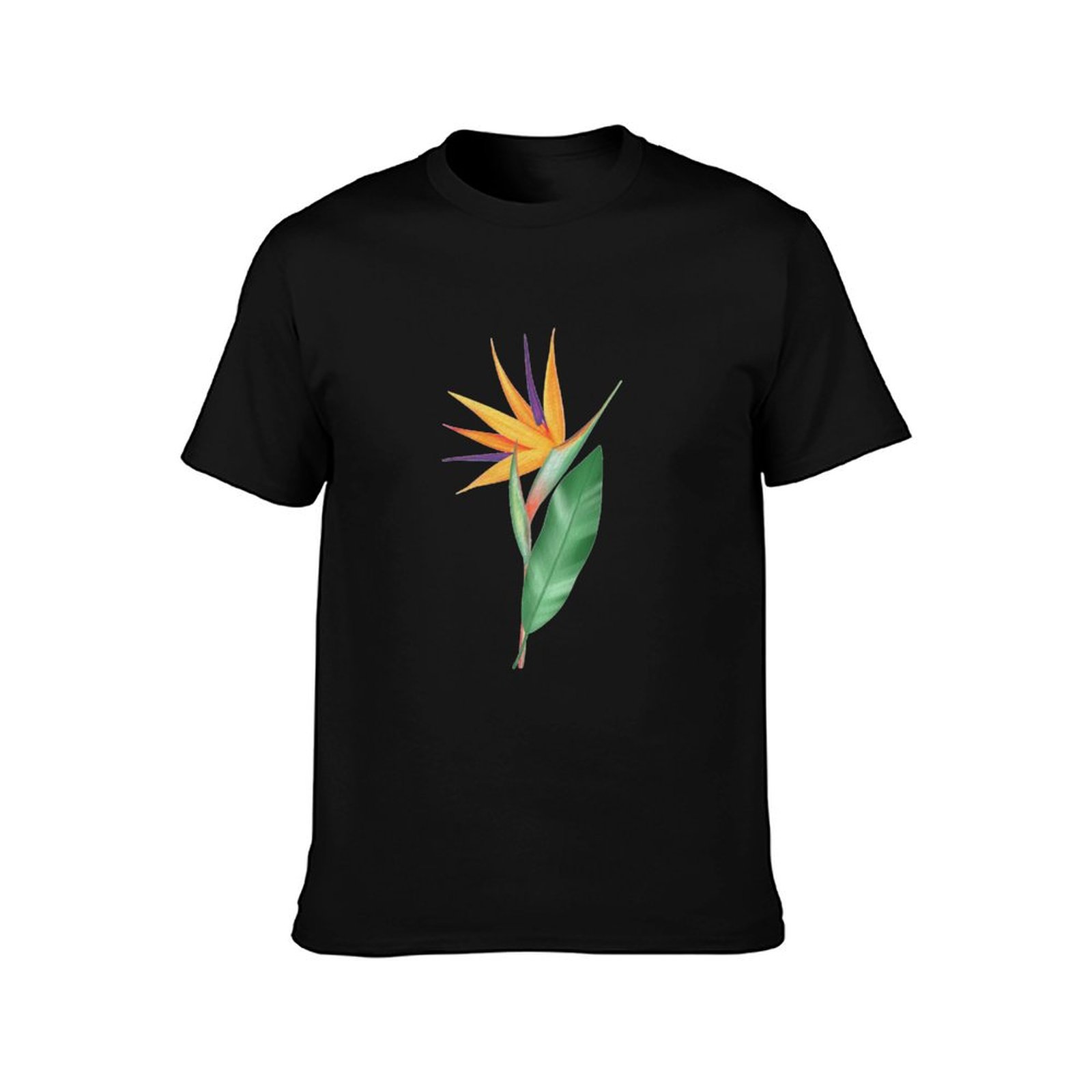 Watercolor bird of paradise fl – Bird Paradise Strelitzia recenzja i cena