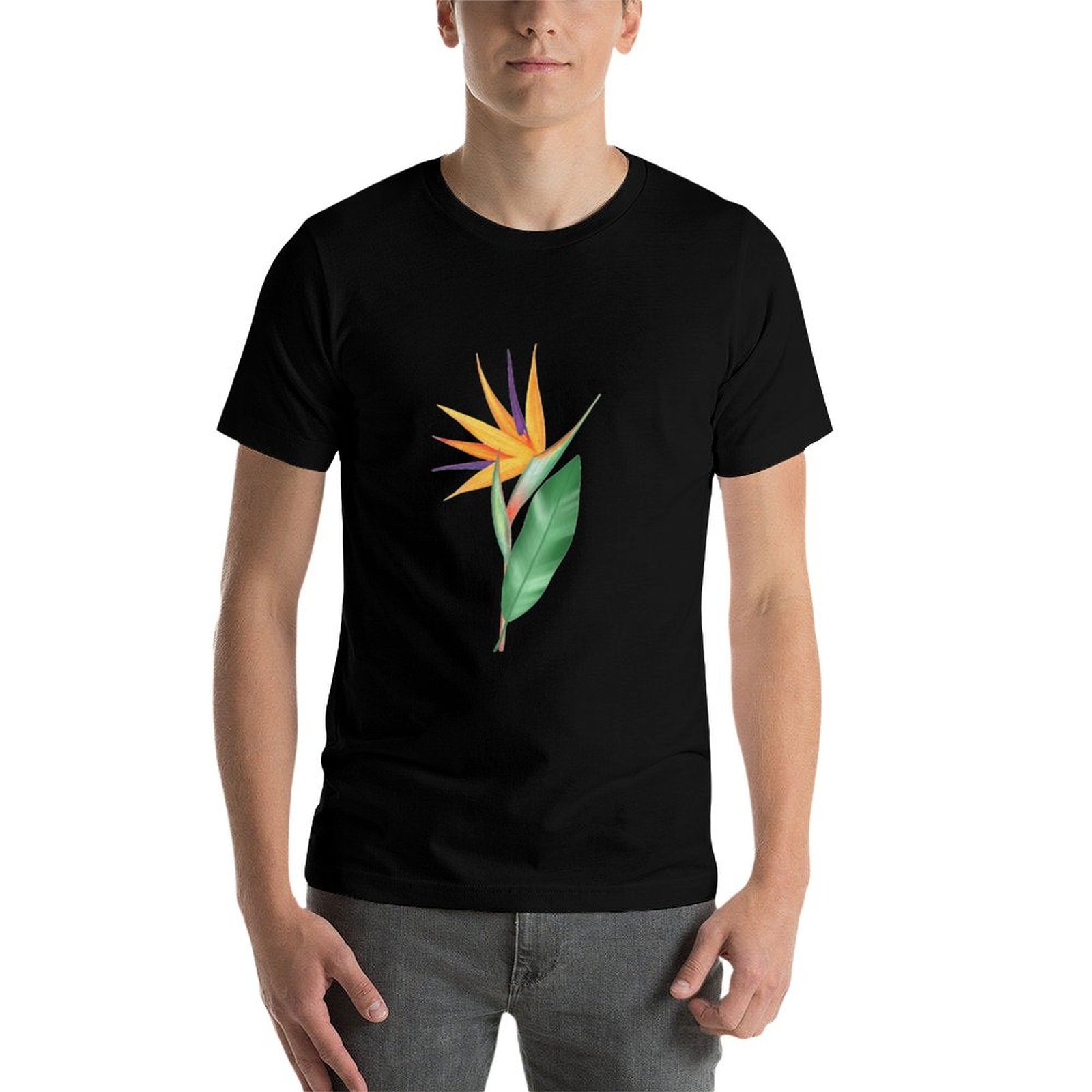 Watercolor bird of paradise fl – Bird Paradise Strelitzia recenzja i cena