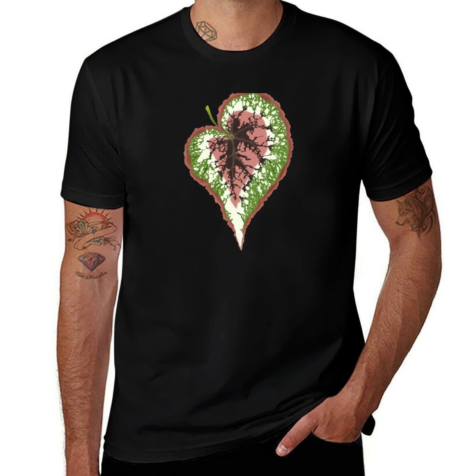 Begonia Rex T-Shirt Basic Simp – Begonia Rex recenzja i cena