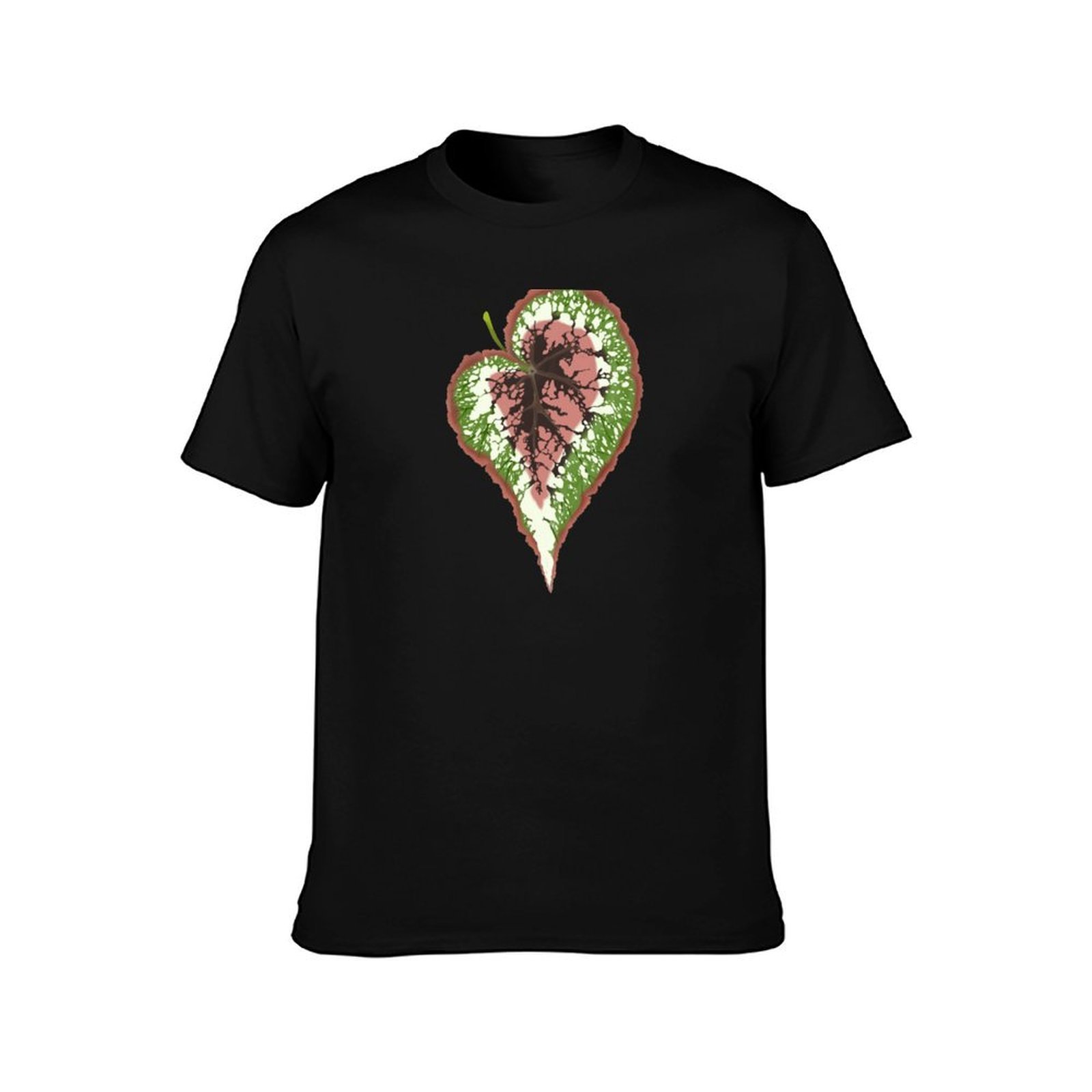Begonia Rex T-Shirt Basic Simp – Begonia Rex recenzja i cena