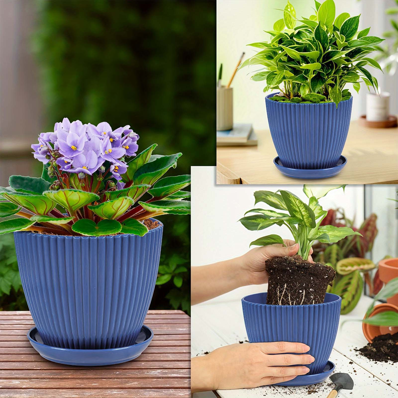 Vertical Striped Thickened Pla – Aloe Vera Pot recenzja i cena