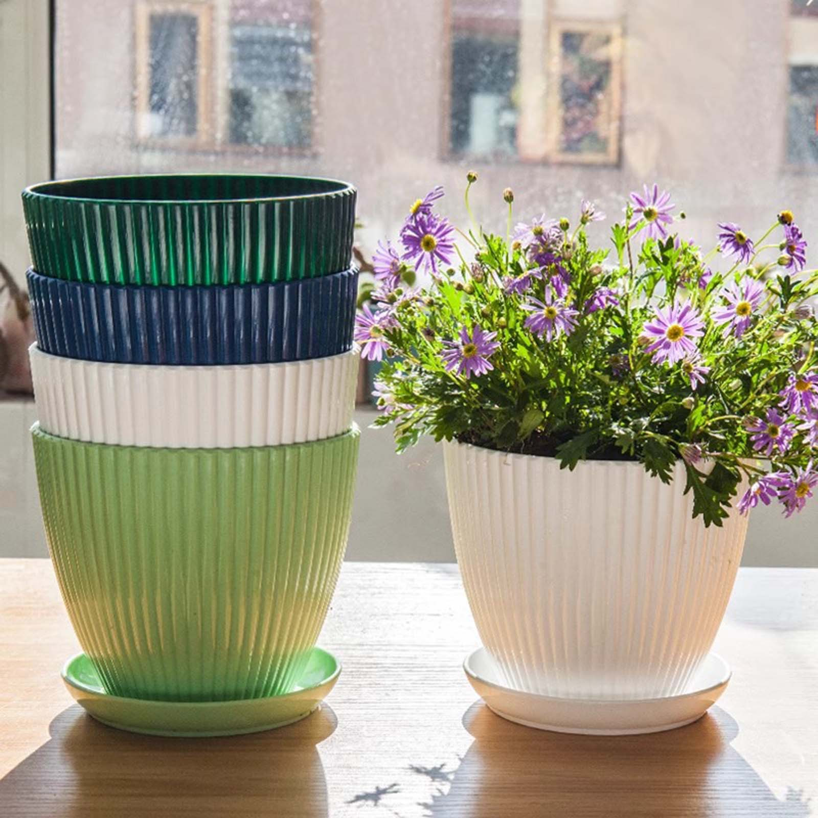 Vertical Striped Thickened Pla – Aloe Vera Pot recenzja i cena