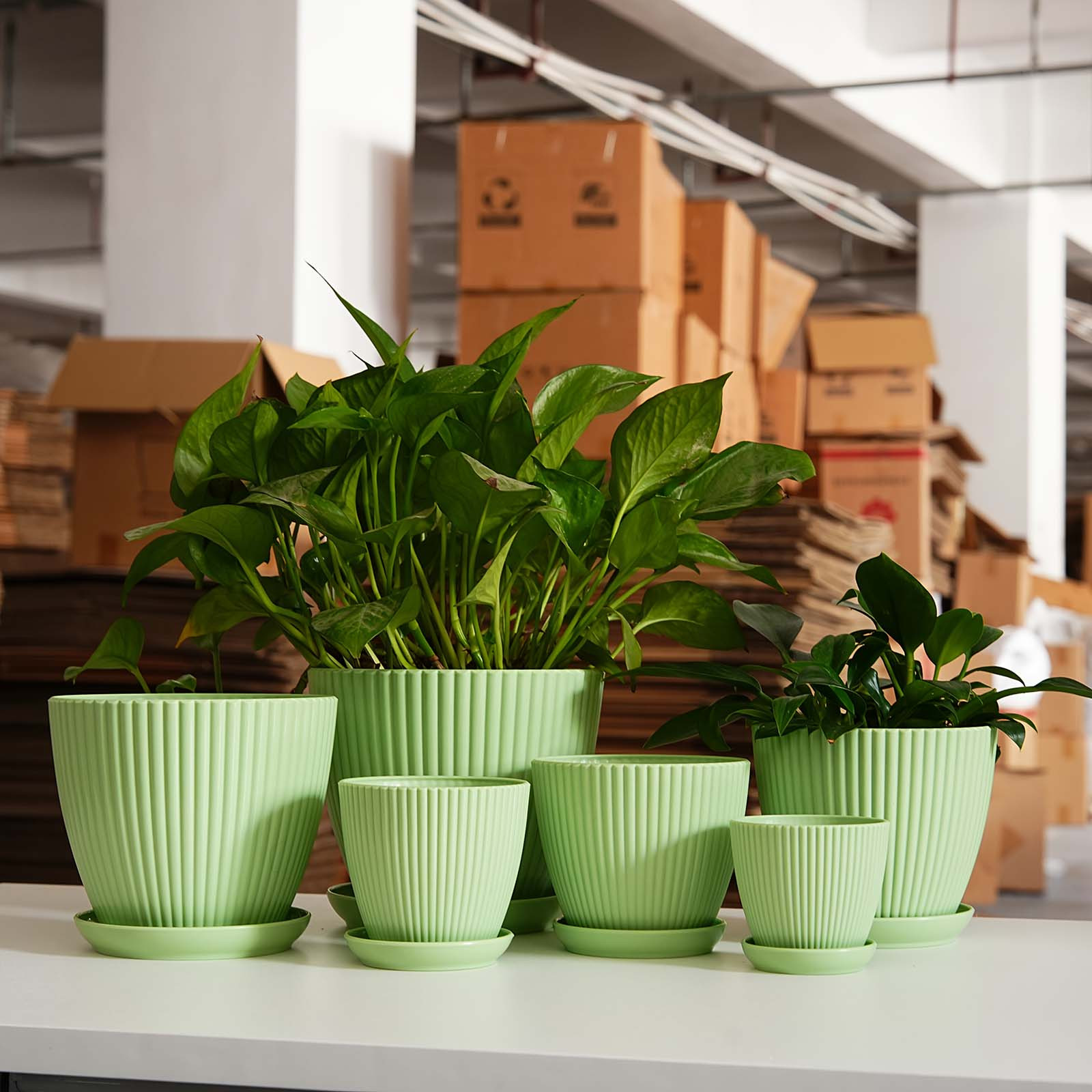Vertical Striped Thickened Pla – Aloe Vera Pot recenzja i cena