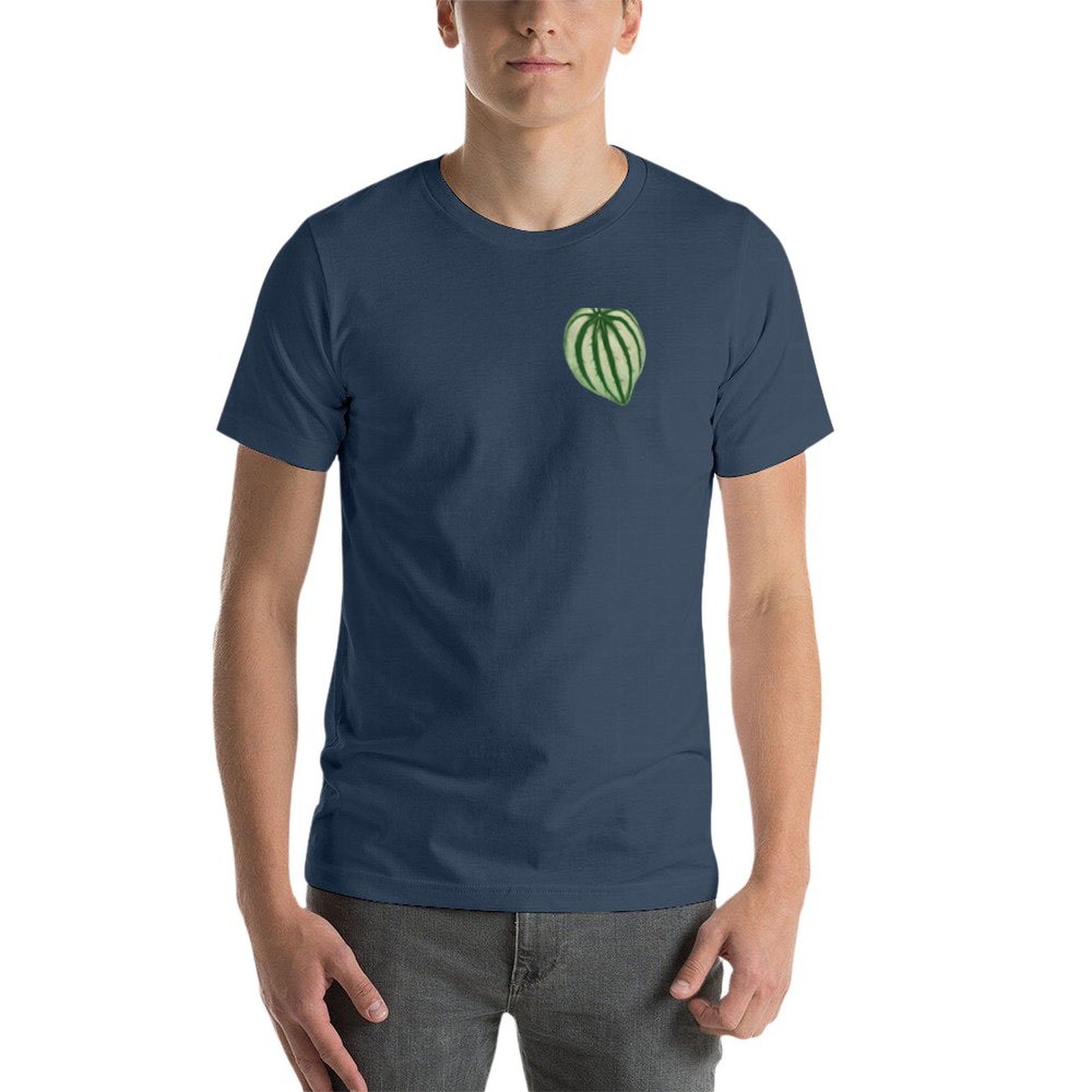 Peperomia Watermelon T-Shirt M – Peperomia Watermelon recenzja i cena