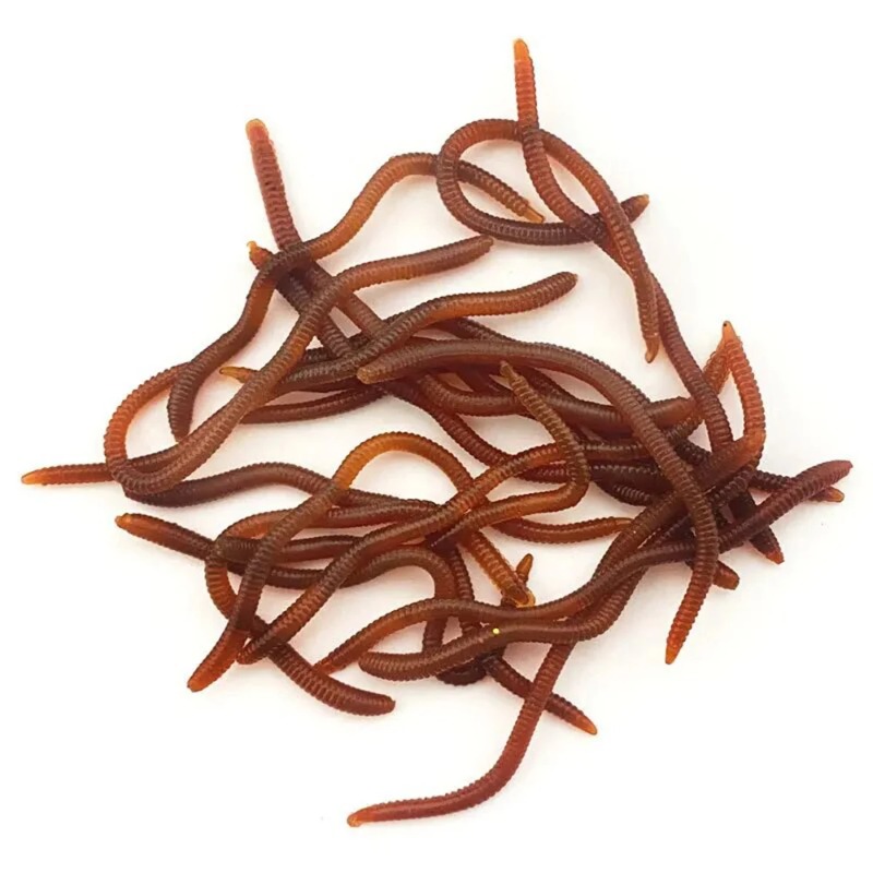 Lifelike Fishy Smell Red Soft  – Aglaonema Red recenzja i cena
