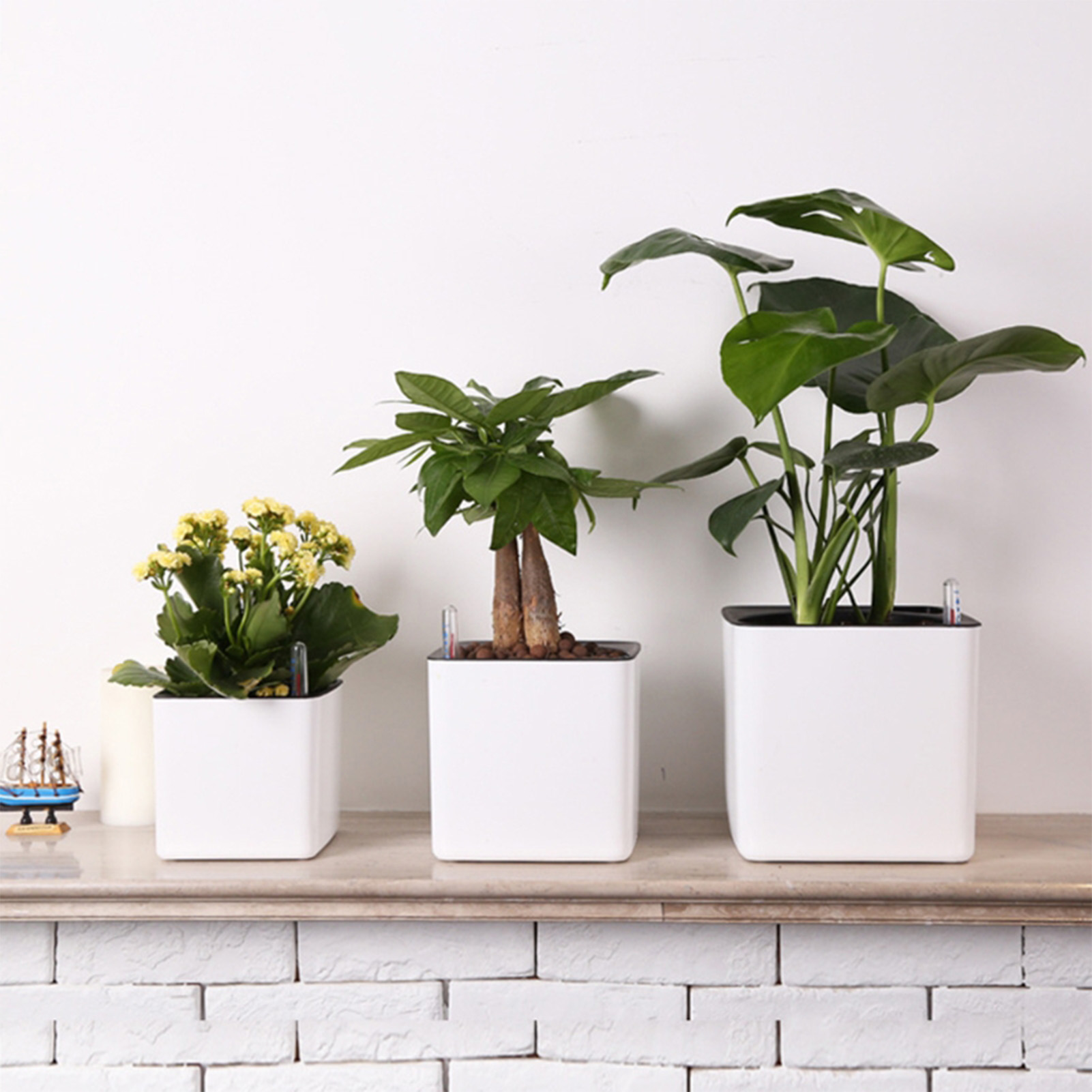 Self Watering Planter Self-wat – Aloe Vera Pot recenzja i cena