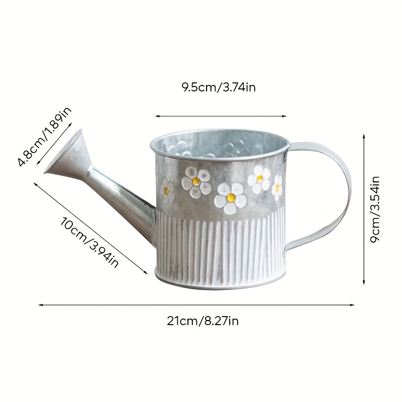 Vintage Farmhouse Galvanized W – Pilea Peperomioides recenzja i cena