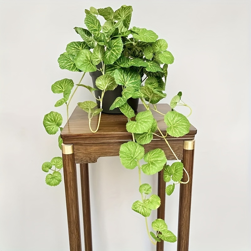 An artificial hanging vine pla – Pilea Peperomioides recenzja i cena