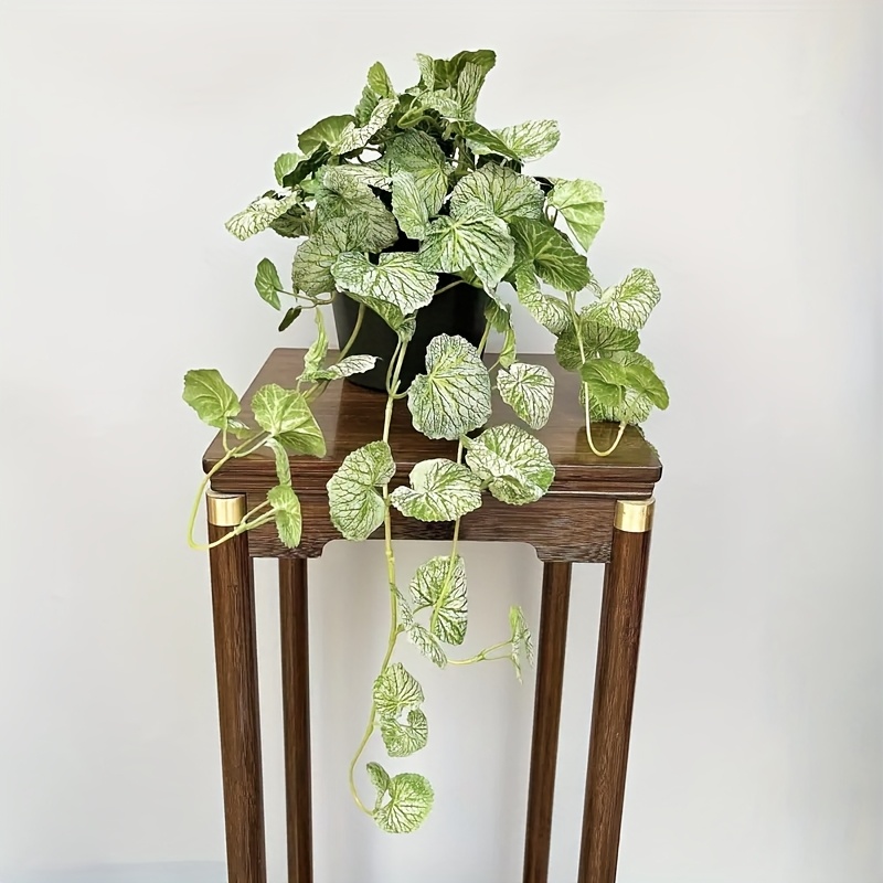 An artificial hanging vine pla – Pilea Peperomioides recenzja i cena