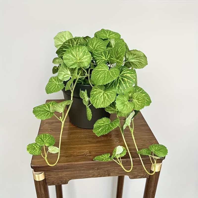 An artificial hanging vine pla – Pilea Peperomioides recenzja i cena