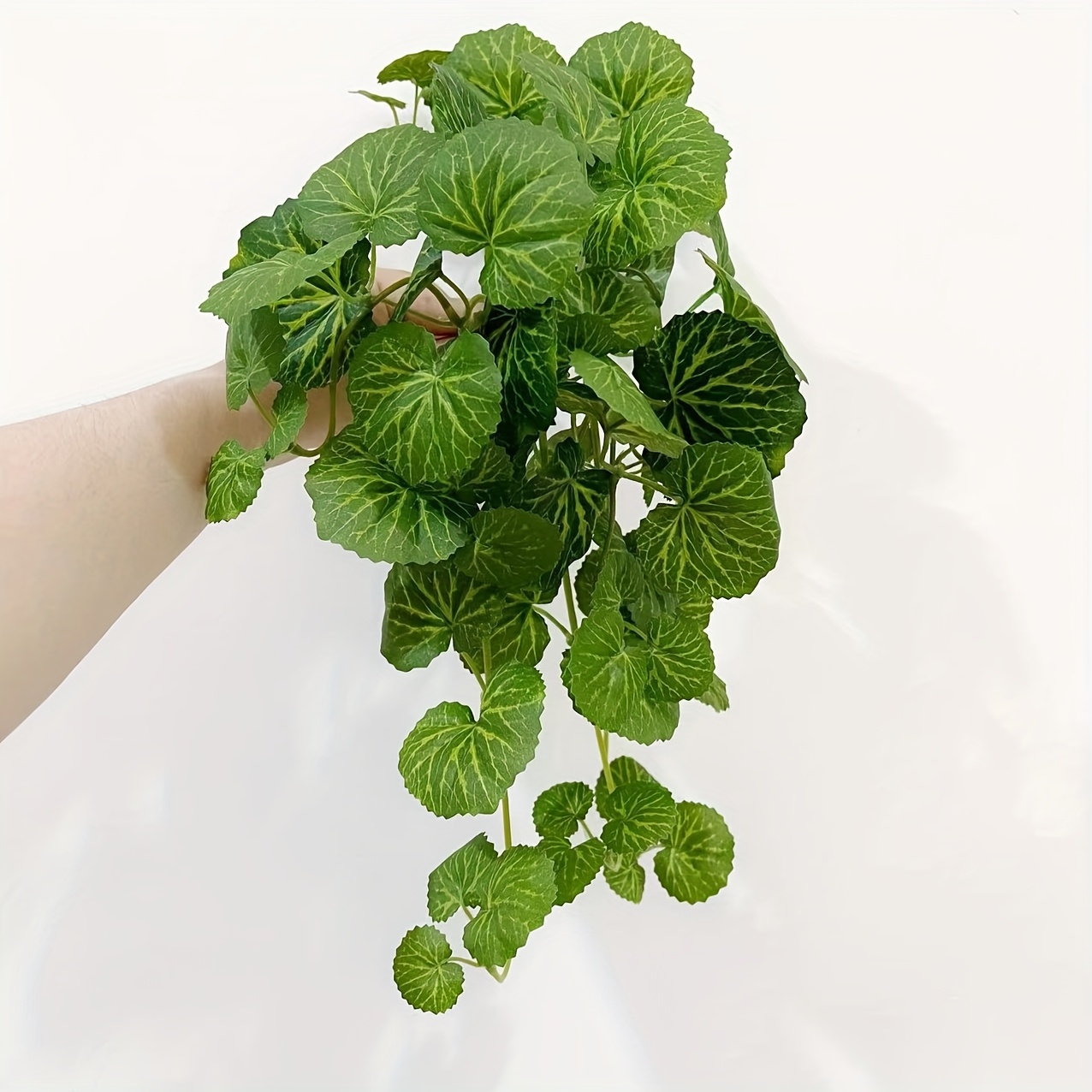 An artificial hanging vine pla – Pilea Peperomioides recenzja i cena