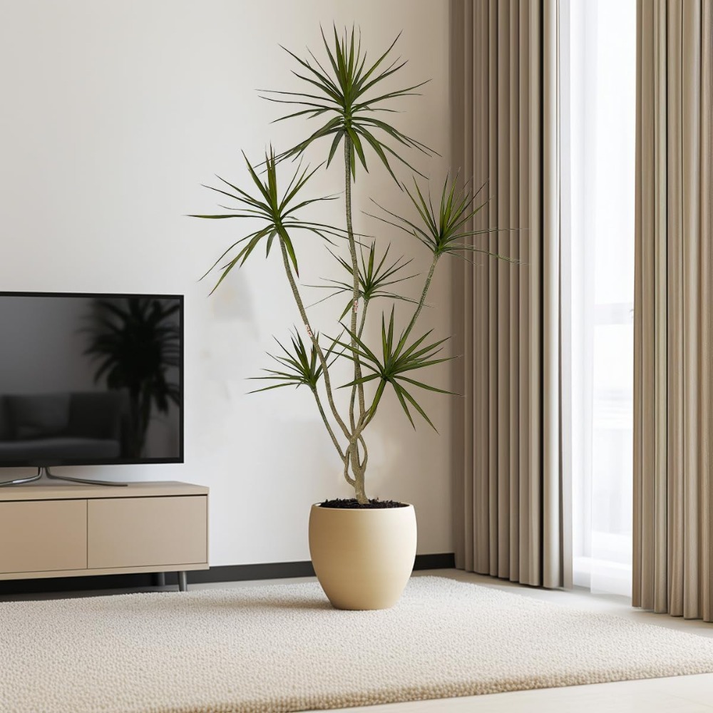 6ft Tall Artificial Dracaena M – Dracaena Marginata recenzja i cena