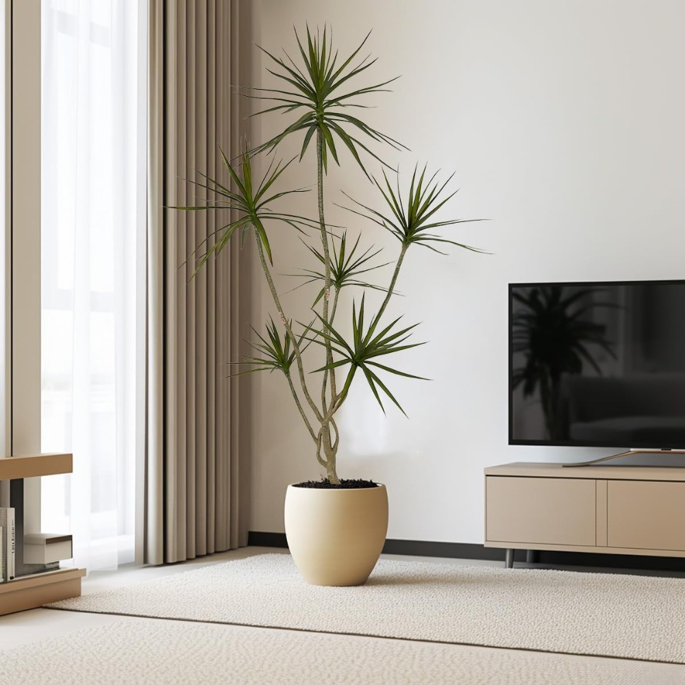 6ft Tall Artificial Dracaena M – Dracaena Marginata recenzja i cena