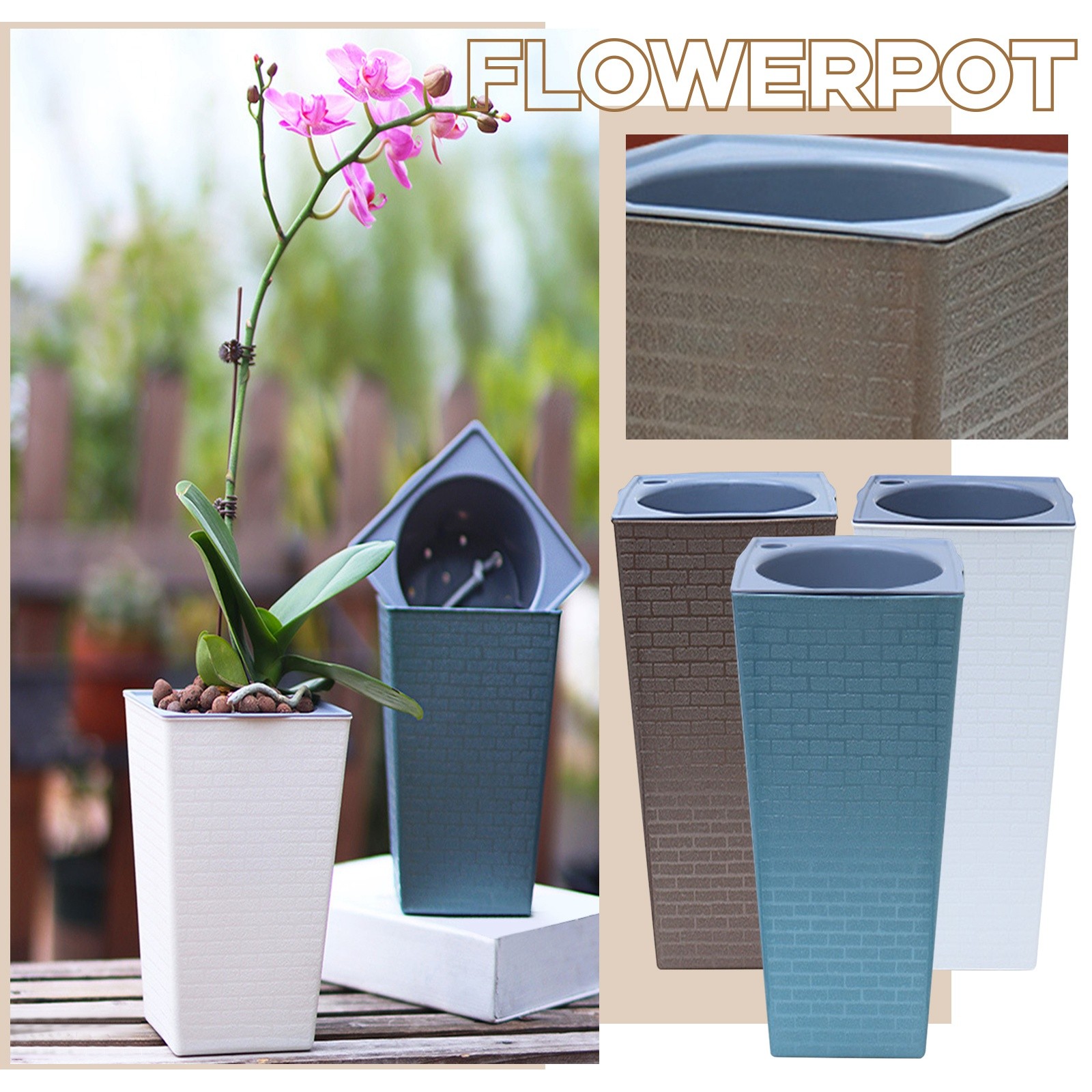 Bonsai-pattern Square Flowerpo – Pilea Peperomioides recenzja i cena