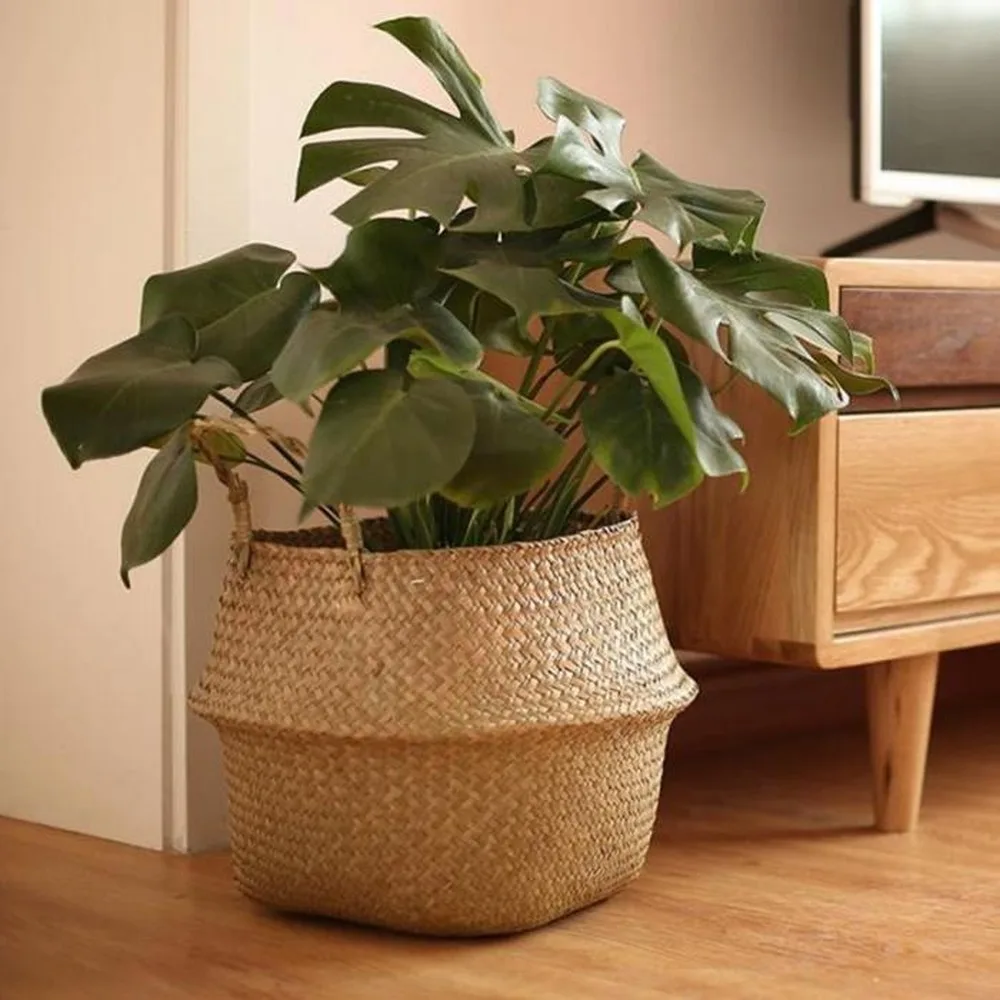Large Seagrass Wickerwork Bask – Aloe Vera Pot recenzja i cena