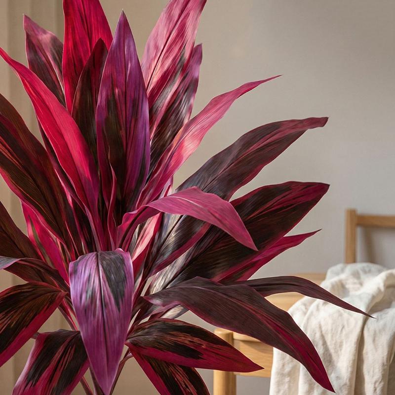Large Artificial Dracaena Marg – Dracaena Marginata recenzja i cena