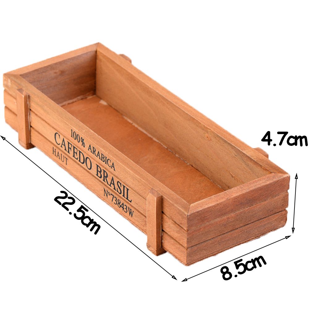 1 PC Tools Garden Decor Trough – Pilea Peperomioides recenzja i cena