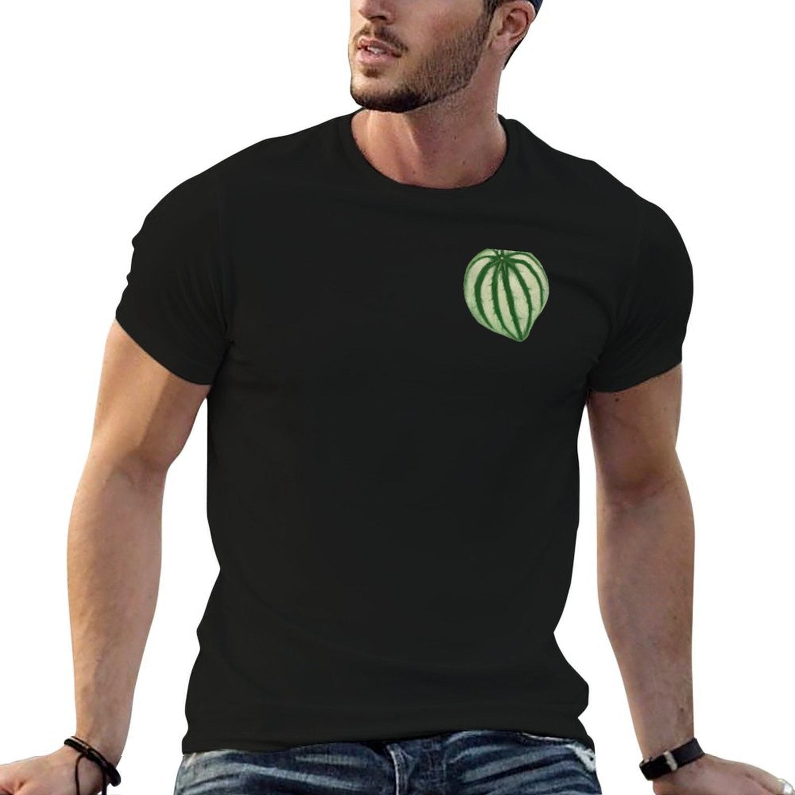 Watermelon Peperomia T-Shirt D – Peperomia Watermelon recenzja i cena