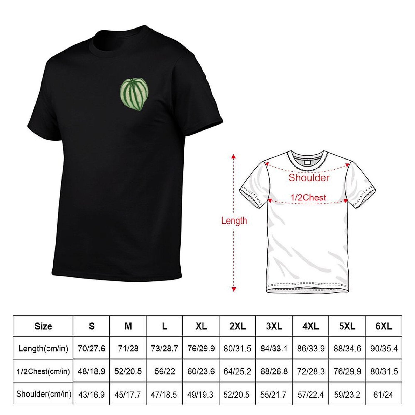 Watermelon Peperomia T-Shirt D – Peperomia Watermelon recenzja i cena