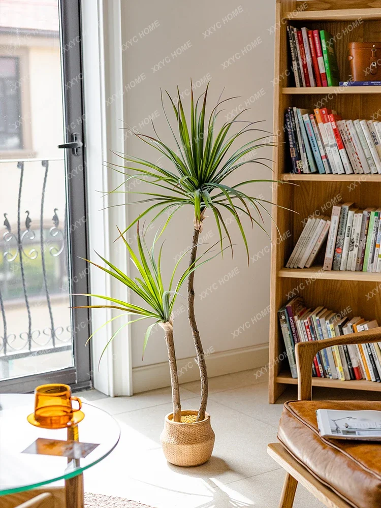 Light Luxury Simulation Green  – Dracaena Marginata recenzja i cena