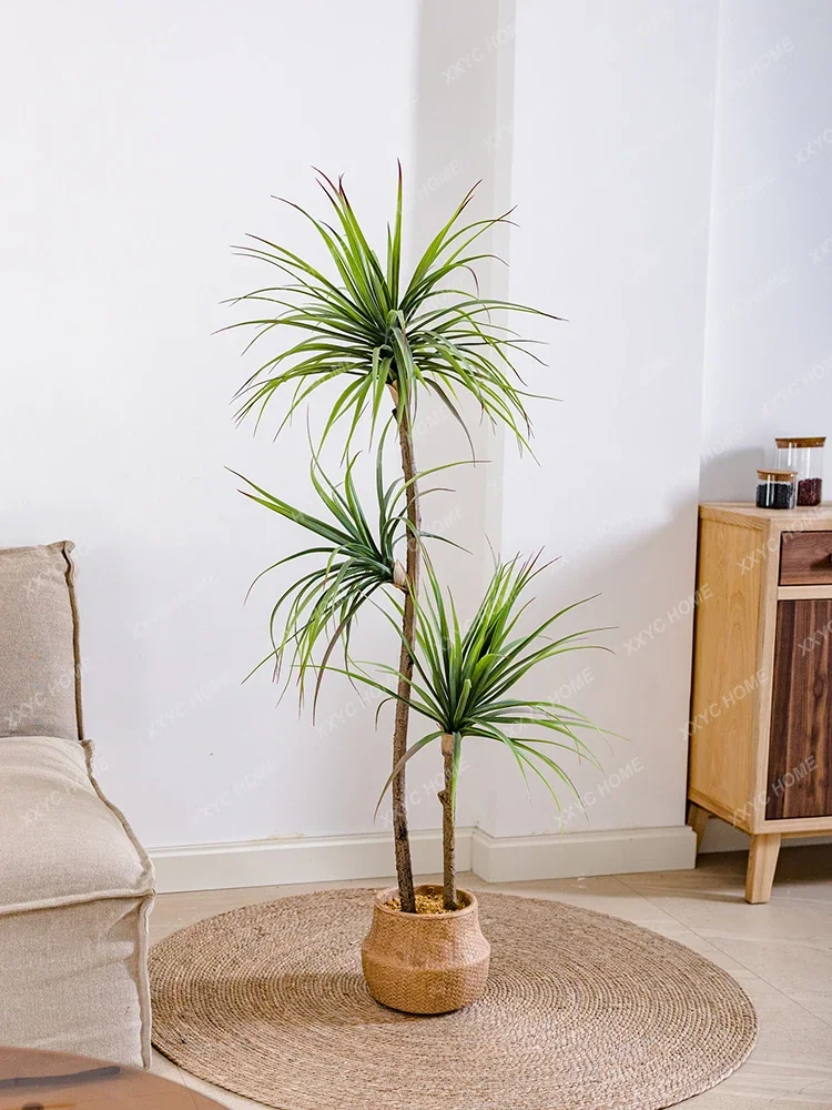 Light Luxury Simulation Green  – Dracaena Marginata recenzja i cena