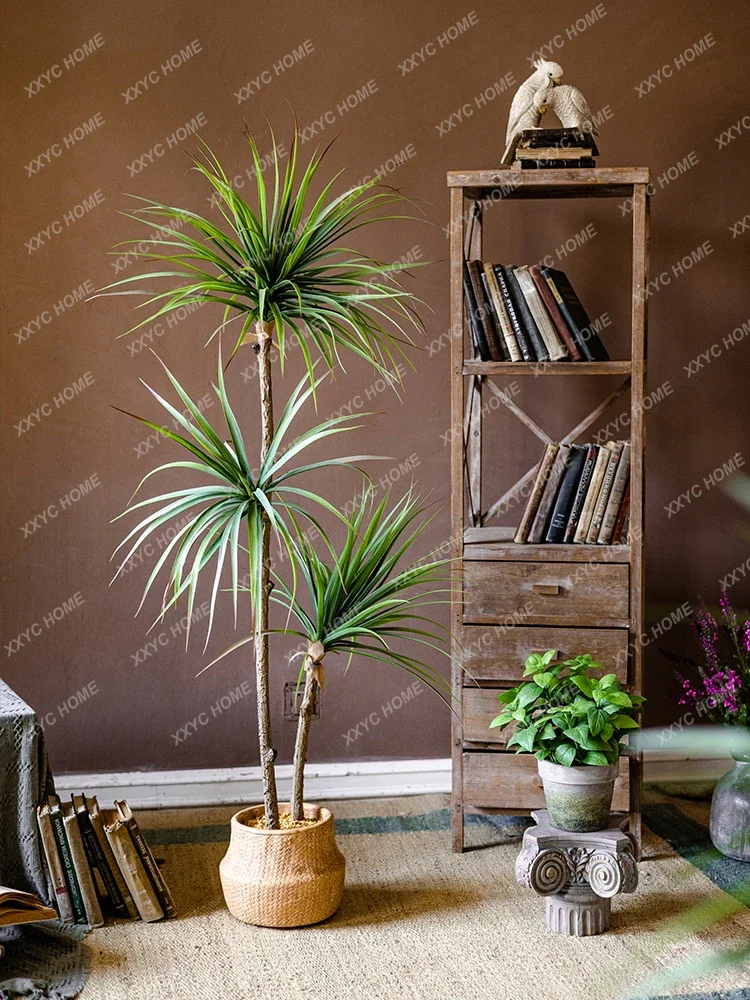 Light Luxury Simulation Green  – Dracaena Marginata recenzja i cena