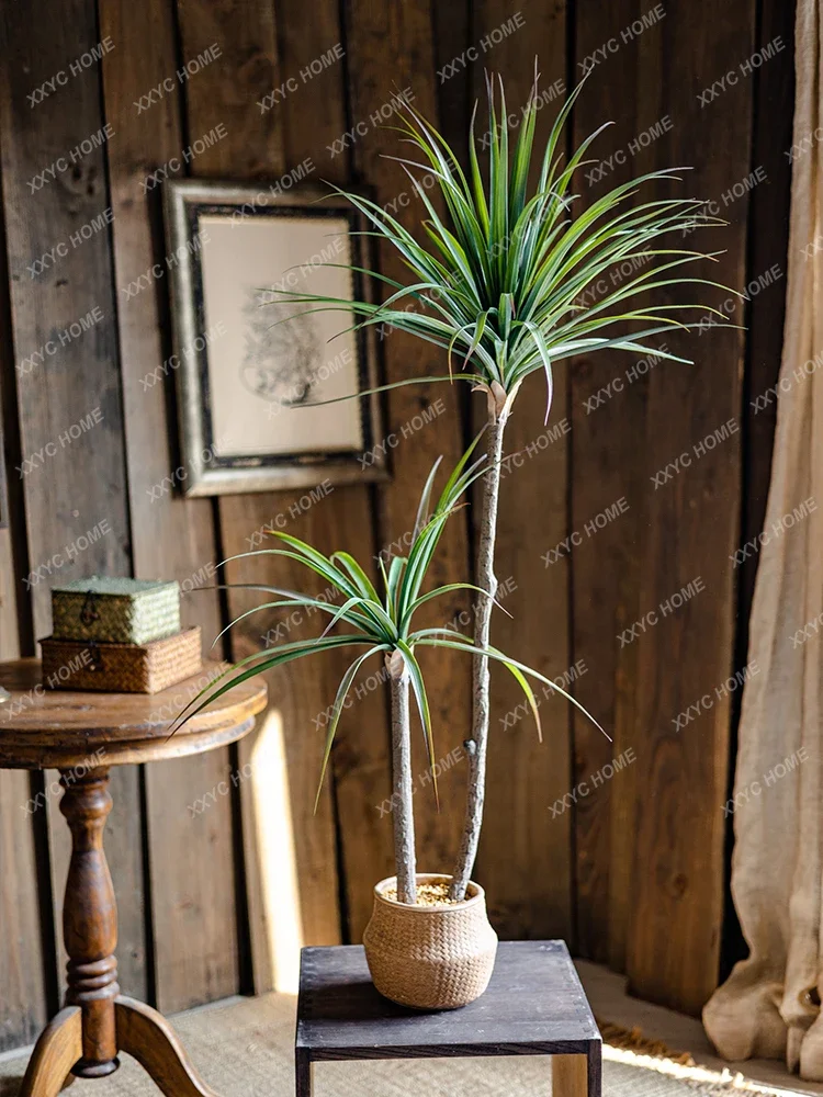Light Luxury Simulation Green  – Dracaena Marginata recenzja i cena