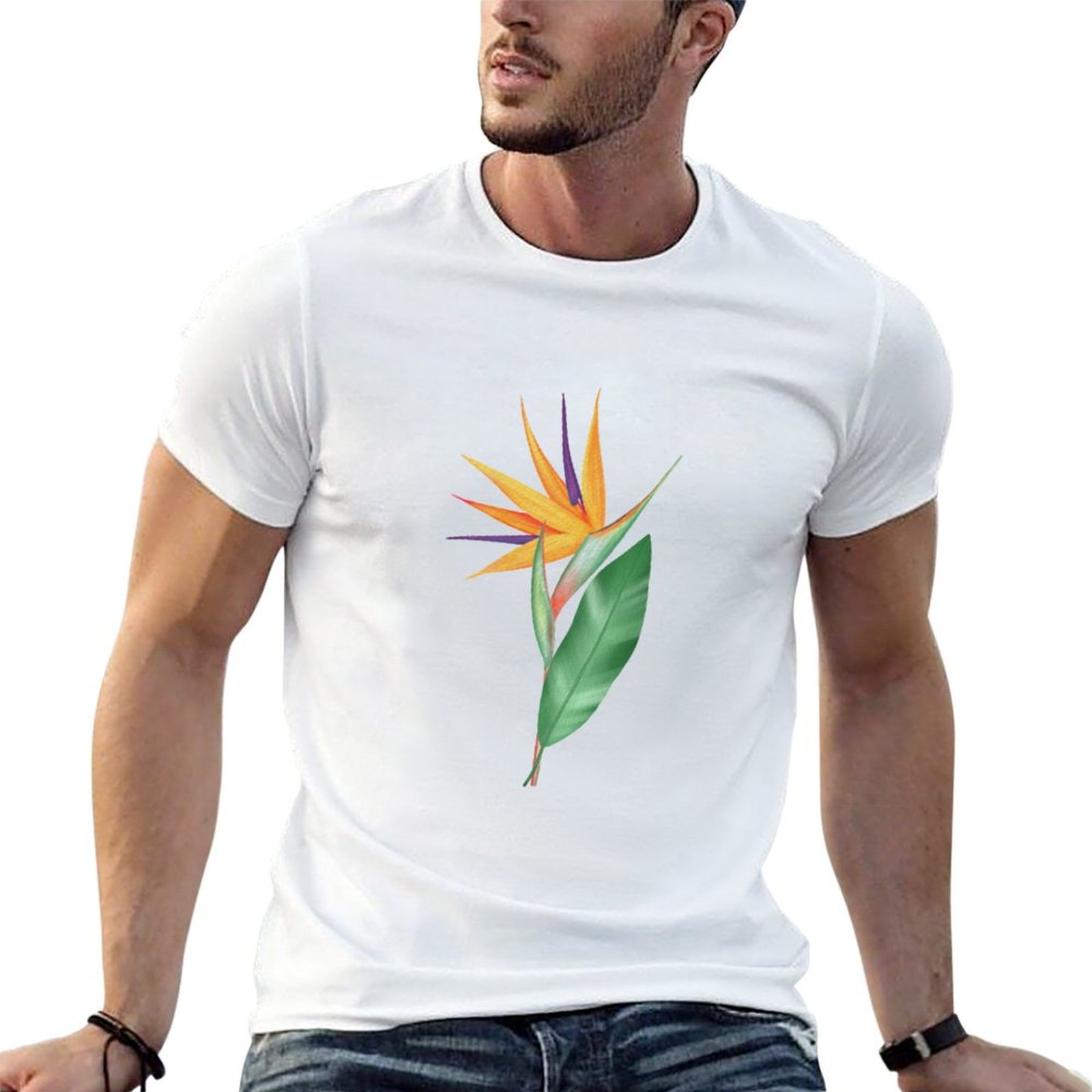 Watercolor bird of paradise fl – Bird Paradise Strelitzia recenzja i cena