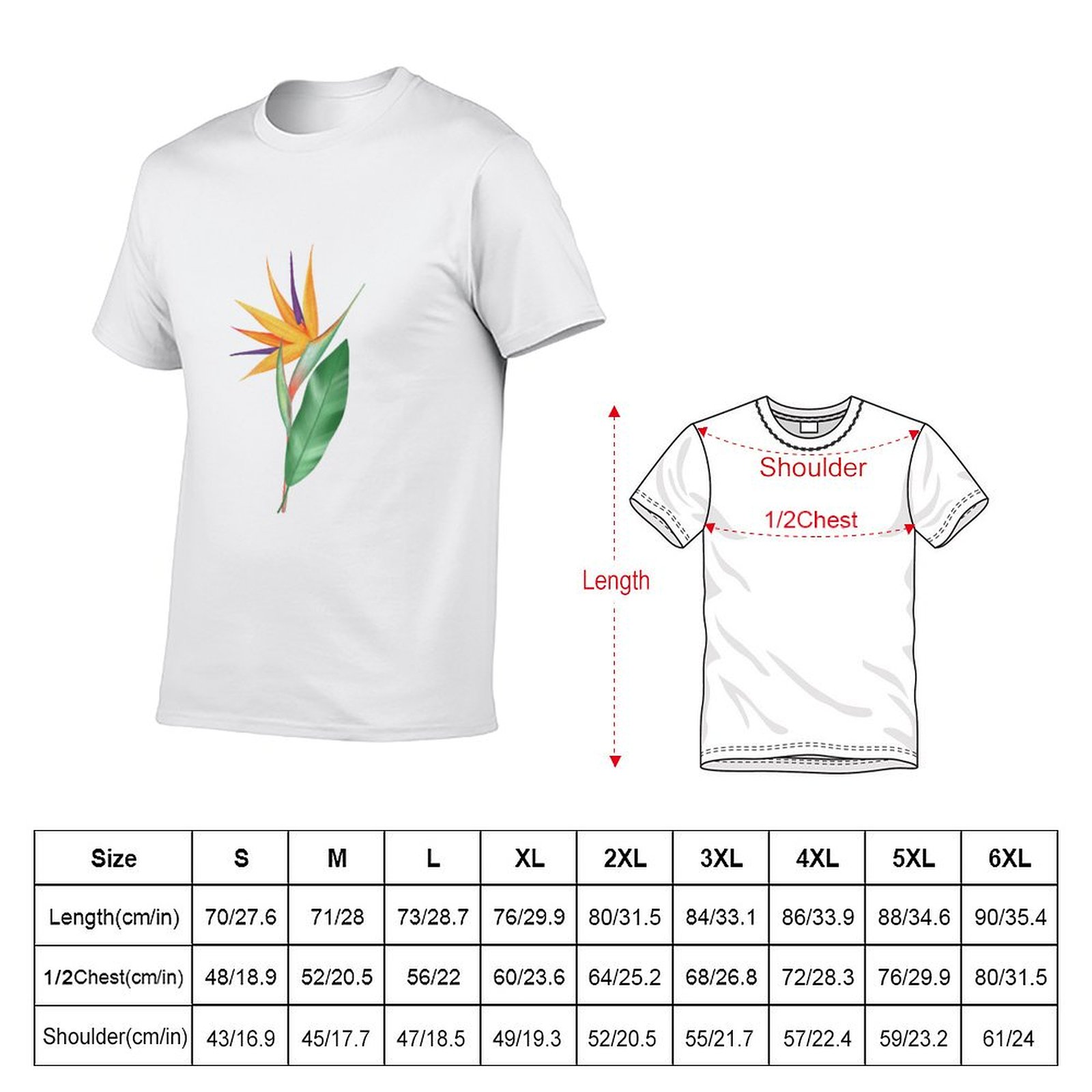 Watercolor bird of paradise fl – Bird Paradise Strelitzia recenzja i cena
