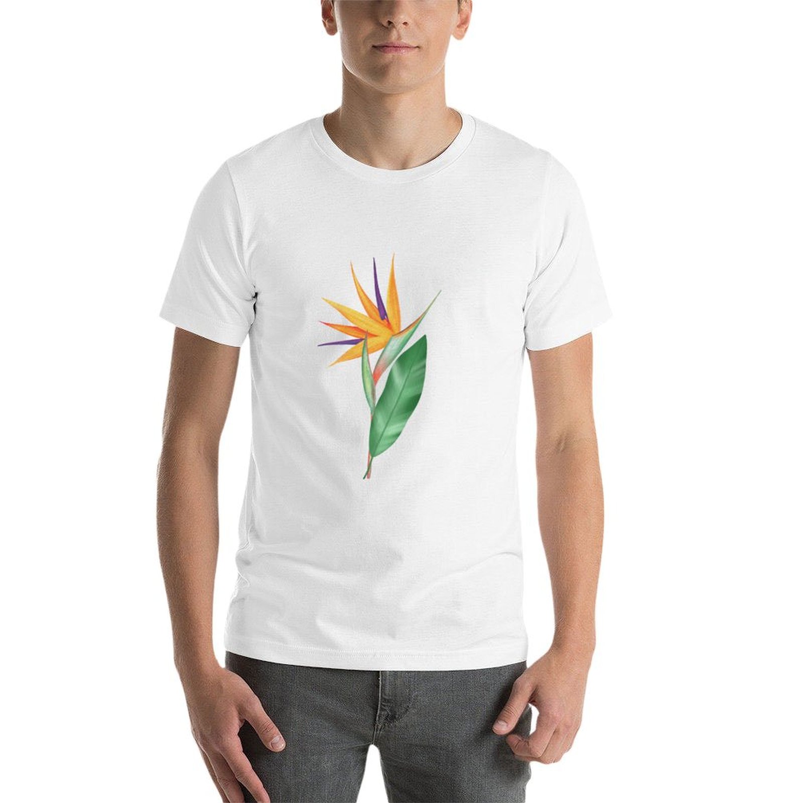 Watercolor bird of paradise fl – Bird Paradise Strelitzia recenzja i cena