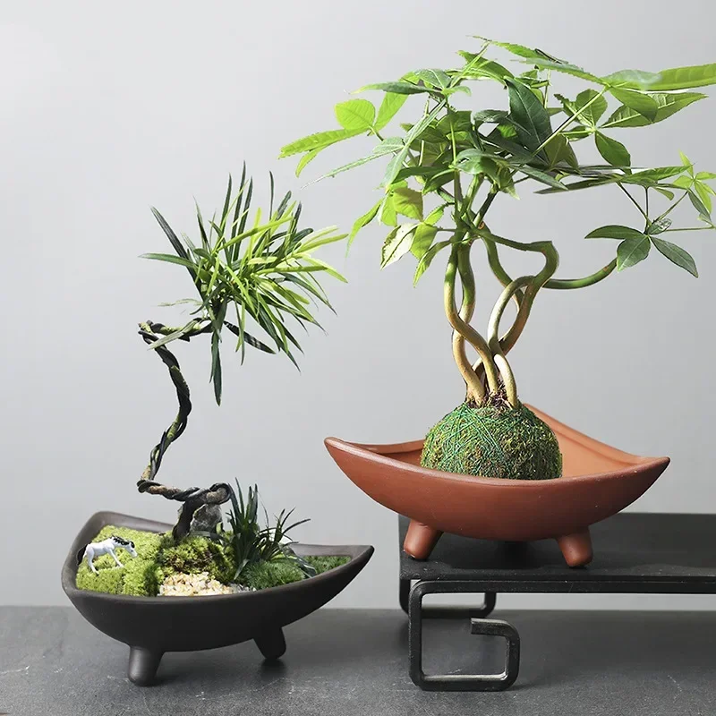 Personalized Ceramic Flower Po – Pilea Peperomioides recenzja i cena
