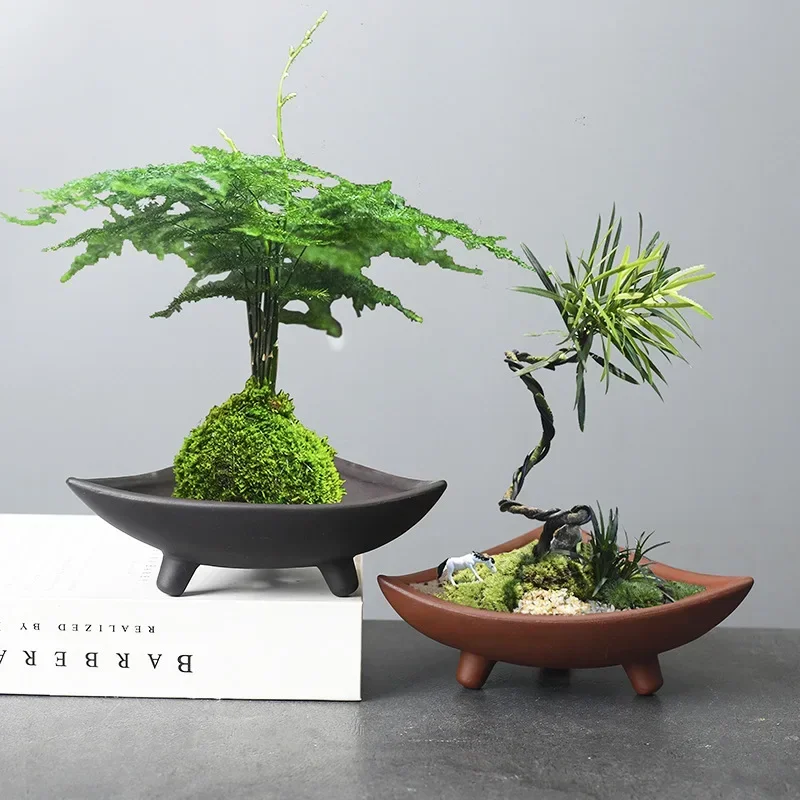Personalized Ceramic Flower Po – Pilea Peperomioides recenzja i cena