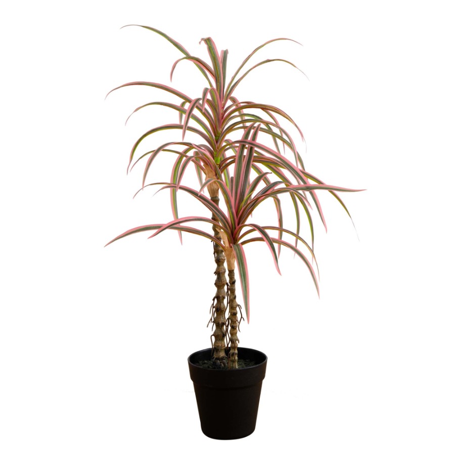 Dracaena Marginata Artificial  – Dracaena Marginata recenzja i cena