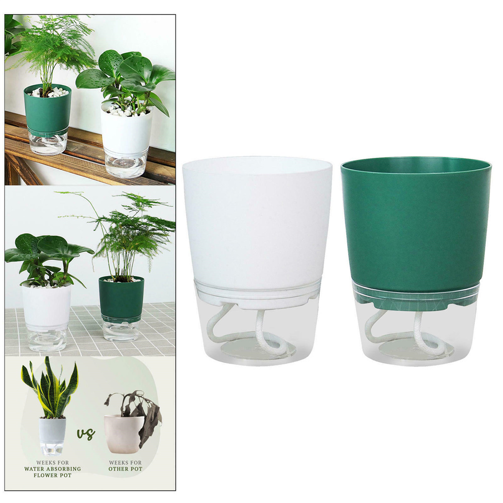 Lazy Hydroponic Flower Pot Aut – Aloe Vera Pot recenzja i cena
