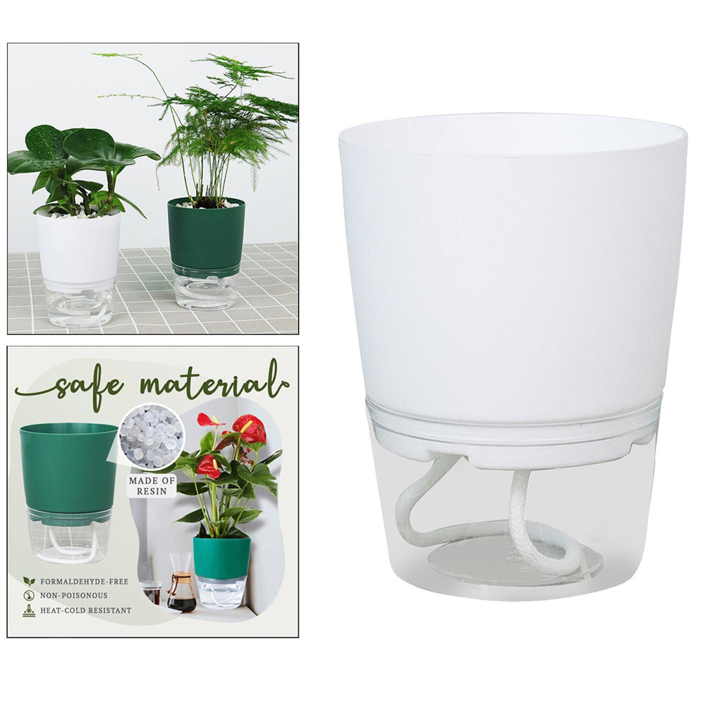 Lazy Hydroponic Flower Pot Aut – Aloe Vera Pot recenzja i cena